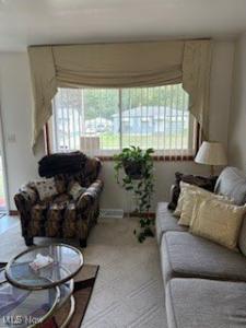 1441 Southern Boulevard NW, Warren, Ohio 44485