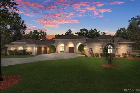 8947 W Basilico Street, Crystal River, פלורידה 34428, ארצות הברית של אמריקה 