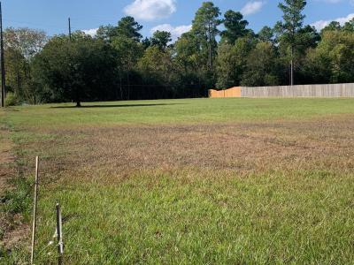 13485 Jbk Memorial Drive, Willis, 德克薩斯州 77318, 美國