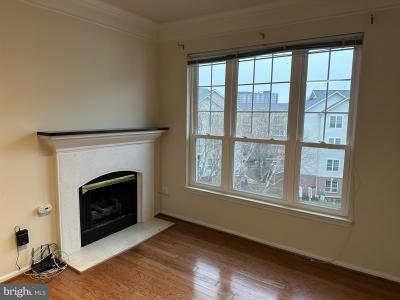 1550 Spring Gate Drive Unit# 8406, Mclean, Virginia 22102, Stati Uniti