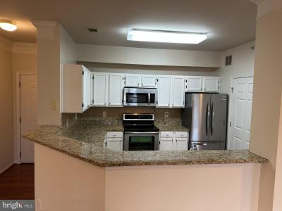 1550 Spring Gate Drive Unit# 8406, Mclean, Virginia 22102, Stati Uniti