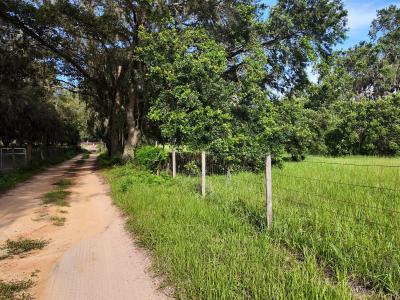 Lot 1 Catbrier Lane, Umatilla, 佛罗里达州 32784, 美国