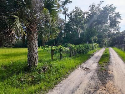 Lot 2 Catbrier Lane, Umatilla, 佛罗里达州 32784, 美国