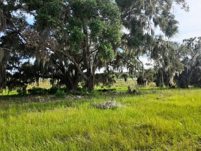 Lot 2 Catbrier Lane, Umatilla, 佛罗里达州 32784, 美国