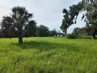 Lot 2 Catbrier Lane, Umatilla, 佛罗里达州 32784, 美国