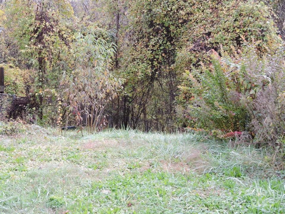 43 Argyle Lane, Asheville, North Carolina 28806