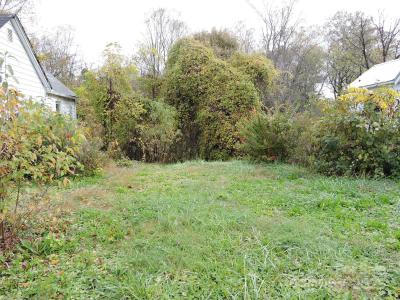 43 Argyle Lane, Asheville, North Carolina 28806