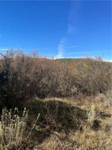 0 Acacia Rd, Cedar Glen, California 92321, USA