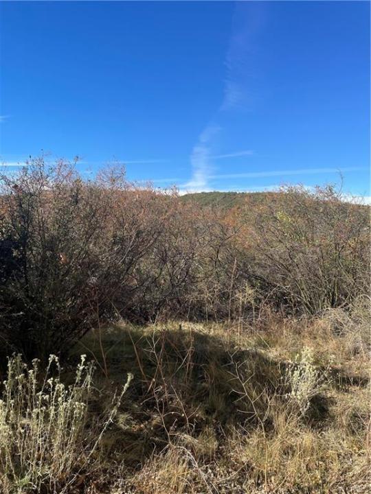 0 Acacia Rd, Cedar Glen, California 92321