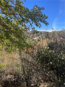 0 Acacia Rd, Cedar Glen, California 92321