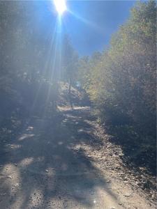 0 Acacia Rd, Cedar Glen, California 92321