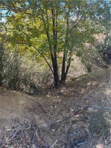 0 Acacia Rd, Cedar Glen, California 92321