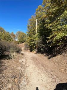 0 Acacia Rd, Cedar Glen, California 92321