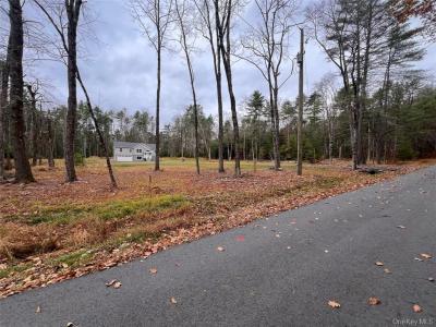 26 Summit Drive, Yulan, New York 12719, Stati Uniti