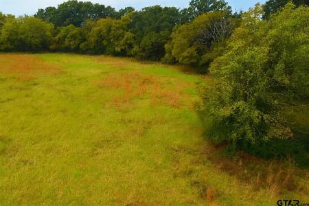 TBD 20.83 +- VZCR1118, Grand Saline, 得克萨斯州 75140, 美国