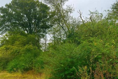 TBD 20.83 +- VZCR1118, Grand Saline, 得克萨斯州 75140, 美国