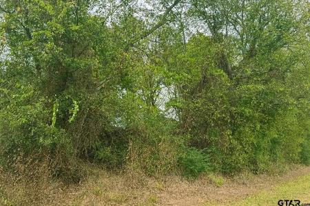 TBD 20.83 +- VZCR1118, Grand Saline, 得克萨斯州 75140, 美国