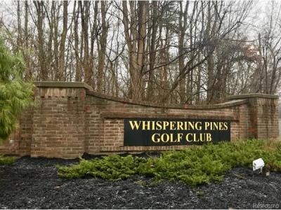 9993 Tioga Trail, Hamburg Twp, 密歇根州 48169, 美国