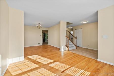 438 W Meadow Mist Lane, Round Lake, Illinois 60073, États-Unis