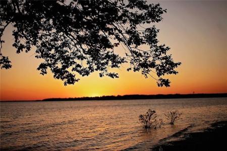 206 Mohawk Trail, East Tawakoni, Texas 75472, HOA KỲ