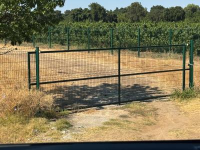 9503 W Barber Road, Galt, California 95632