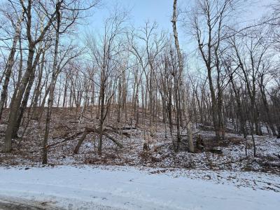 Lot25Blk1 Westward Ho, Garrison, Minnesota 56450, USA