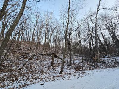 Lot25Blk1 Westward Ho, Garrison, Minnesota 56450, États-Unis