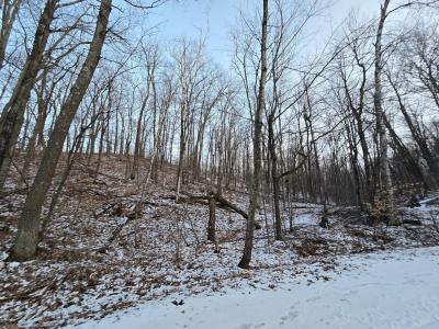 Lot25Blk1 Westward Ho, Garrison, Minnesota 56450, États-Unis