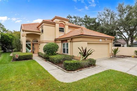 9338 Fairway Lakes Court, Tampa, Florida 33647, USA