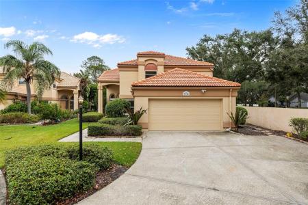 9338 Fairway Lakes Court, Tampa, Floride 33647, États-Unis