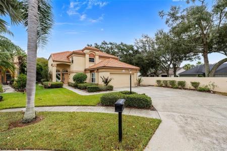 9338 Fairway Lakes Court, Tampa, Floride 33647, États-Unis