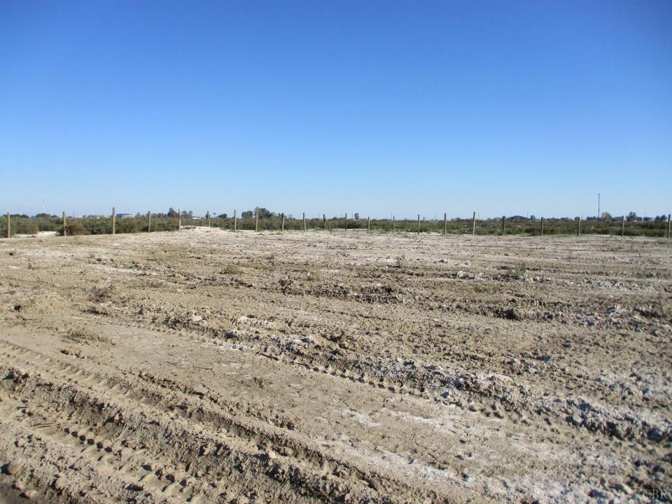 Jackson, Lemoore, 加利福尼亚州 93245, 美国