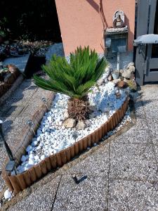 Via Fratelli Cervi, Arluno, Lombardia 20010, Itália