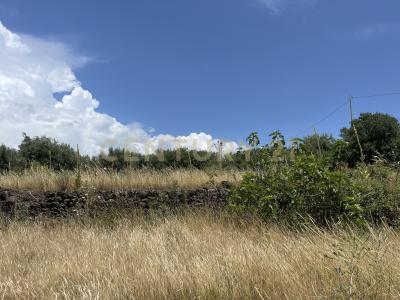 Belpasso, Sicilia 95032, 意大利