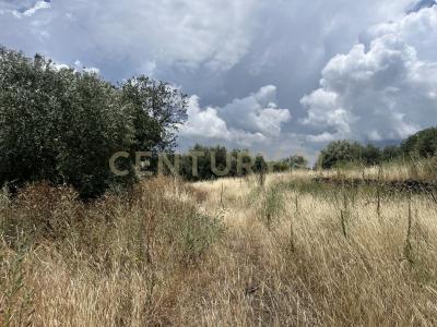 Belpasso, Sicilia 95032, 意大利