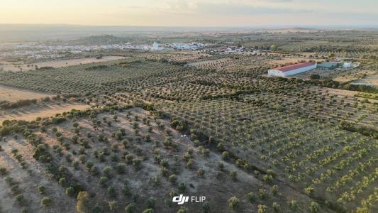 Elvas, 波塔萊格雷 7350-346, 葡萄牙