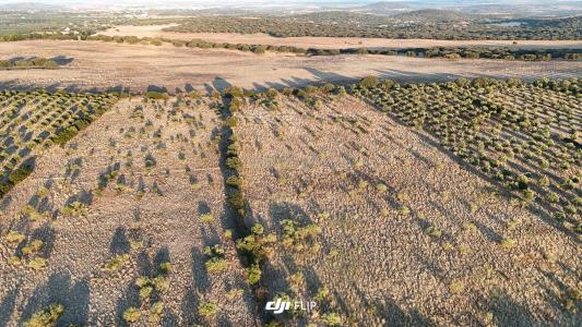 Elvas, 波塔萊格雷 7350-346, 葡萄牙
