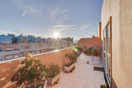 Sintra, Lisbon 2635-009, Portugal