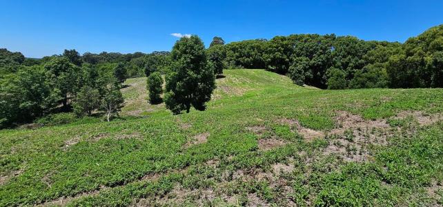 Lot 164 Leadbeatters Lane, Alstonville, NSW 2477, Austrália