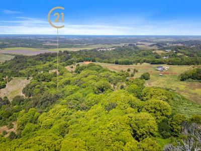 Lot 164 Leadbeatters Lane, Alstonville, NSW 2477, Austrália