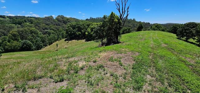 Lot 164 Leadbeatters Lane, Alstonville, NSW 2477, Austrália