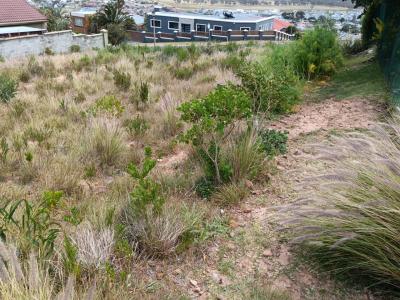 Gordons Bay, Western Cape, 南非