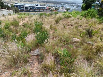 Gordons Bay, Western Cape, 南非