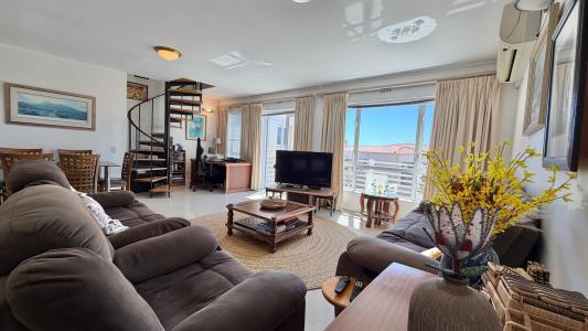 Gordons Bay, Western Cape, South Africa