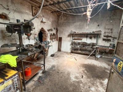 Lago de Fondo ,, Miguel Hidalgo, Ciudad De México 11490, México