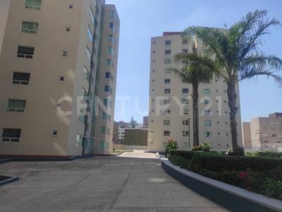 Prol. Hacienda Xalpa Manzana 027,, Cuautitlán Izcalli, Estado De México 54769, Mexico