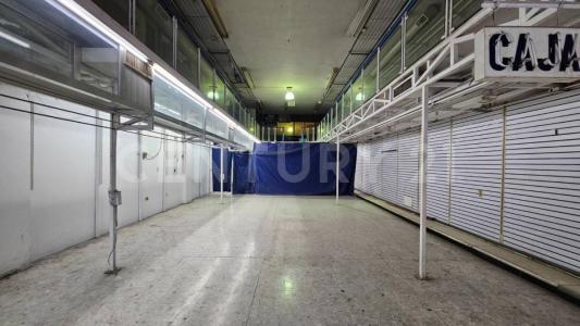 Monterrey, 新萊昂 64000, 墨西哥