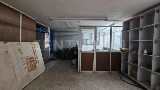 Monterrey, 新萊昂 64000, 墨西哥