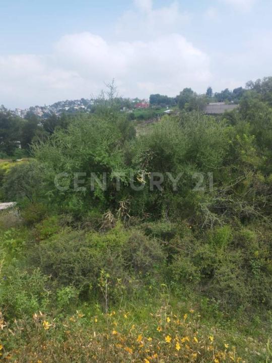 Tepeji Del Río De Ocampo, Hidalgo 42851, México