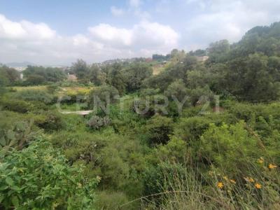 Tepeji Del Río De Ocampo, Hidalgo 42851, México